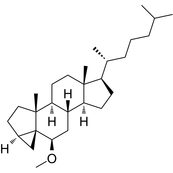 i-Cholesteryl methyl ether 2867-93-8